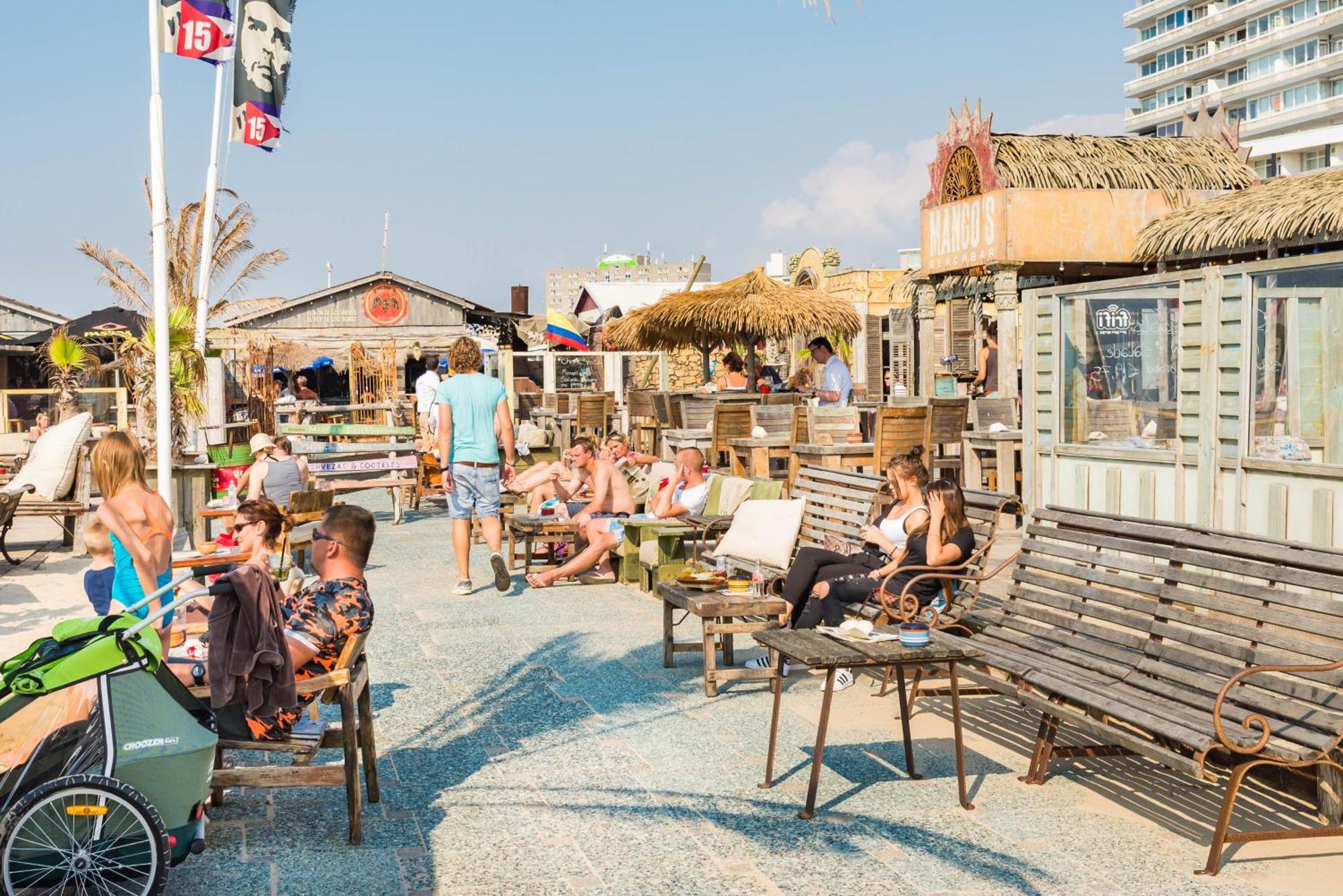 Moyo Kijani * Zandvoort